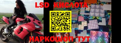 бошки Можга