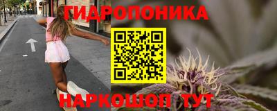 молекула духа Можайск