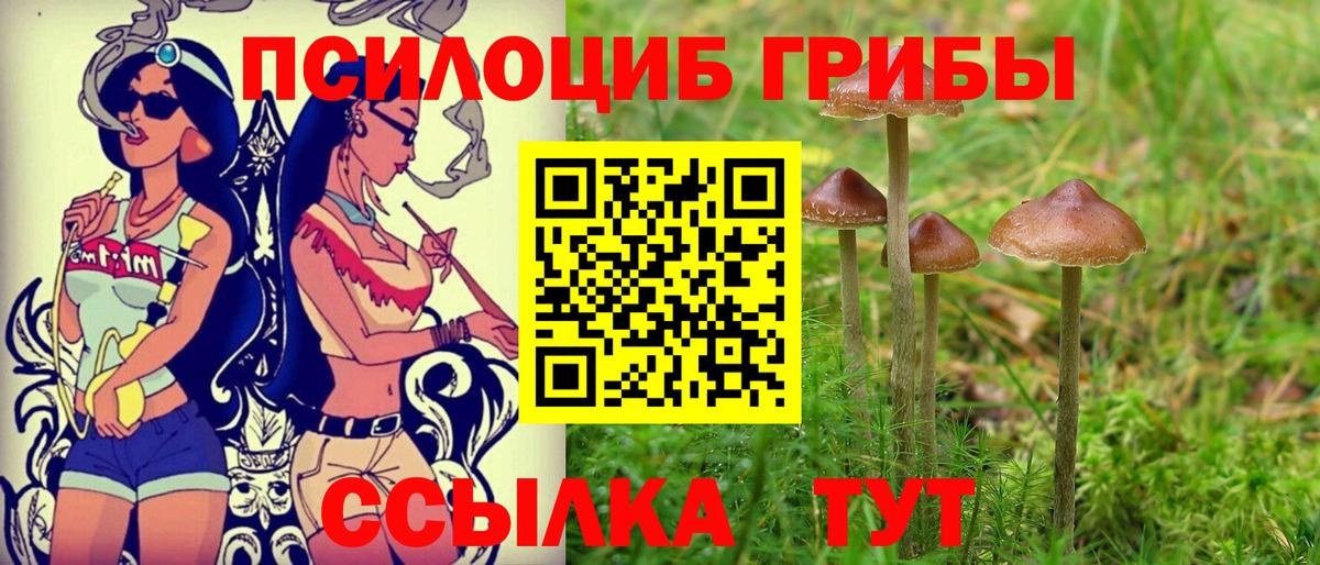 Галлюциногенные грибы прущие грибы Чернушка