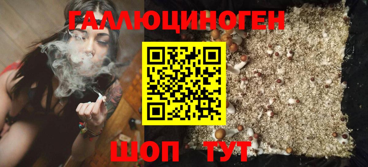 Галлюциногенные грибы Psilocybine cubensis  Вход с VPN  наркошоп  Чернушка 