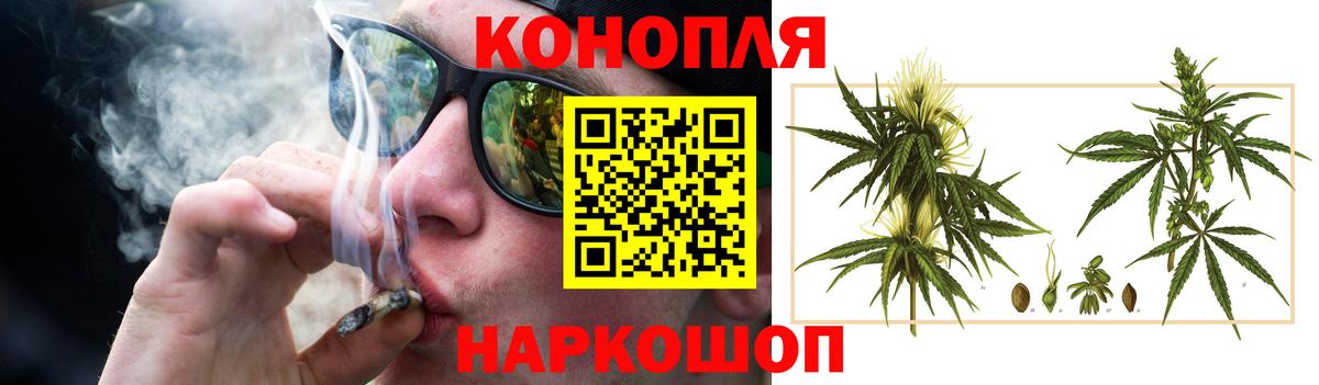 Чернушка  Бошки марихуана план  Вход с VPN  Канабис SATIVA & INDICA  Бошки Шишки AK-47  Конопля OG Kush 
